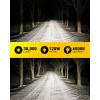 imageAUXITO 9005 LED Bulbs HB3 Light 6500K Daylight White UltraBright 60W Fanless Fog Light BulbTrue 11 Size PlugNPlay Pack of 29012