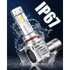 imageAUXITO 9012 Light Bulbs 34000LM Super Bright Plug and Play HIR2 Fog Bulbs with 11 Mini Size Powersports Accessory Lights Pack of 2