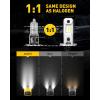 imageAUXITO 5202 H16 LED Fog Light Bulbs 6500K Cool White 400 Brightness CSP Chips 5201 PS19W PS24W 9009 12085 Halogen Bulb DRL Replacement for Sierra Silverado Yukon Tahoe Canyon 2PackCool White