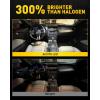 imageAUXITO 578 LED Bulbs 2112 2122 Festoon Bulb 39mm 41mm 42mm LED Lights Bulb 6500K White Extremely Bright 4014 SMD for Car Truck LED Interior Dome Map Door Courtesy Lights License Plate Bulbs 4 Pack39mm42mm 4 PACK