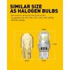 imageAUXITO 7443 LED Bulbs White Reverse Lights 400 Brighter 7440 7444 7441 Light 6000K for Tail Light Backup Light DRL Parking Light Pack of 2