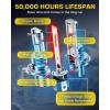 imageAUXITO H49003 Bulbs 40000LM 900 Brighter 6500K Cool White Upgraded Fanless Design Fog Light Bulbs with Copper Base ErrorFree PlugNPlay Pack of 2H49003HB2