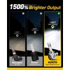 image:imageAUXITO 80000LM H11H8 LED Switchback Bulbs 11 Mini Size H11 LED Fog Light Bulbs 6500K amp 3000K Dual Color Driving Lamps No Polarity PlugandPlay 60000H Lifetime9005HB3