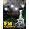 image:imageAUXITO H11 Light Bulbs 40000LM 10X Brighter 6500K Cool White  H11H9H8 Fog Light Plug and Play Pack of 2HB49006