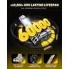 image:imageAUXITO H7 Bulb  1000 Brightness Real 11 Halogen Mini Size 6500K White Illumination for Automotive H7 Fog Lights Plug N Play Pack of 29006HB4