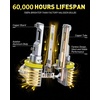 image:imageAUXITO H1 LED Bulbs Combo 6500K White 98000LM 11 Mini Size2PCSH11H8H9